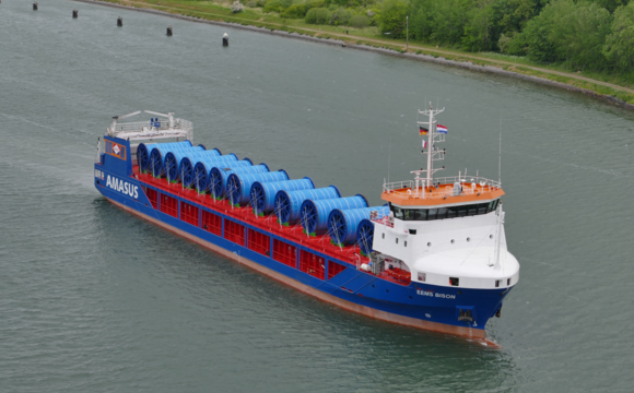 EEMS BISON